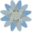 Arootah